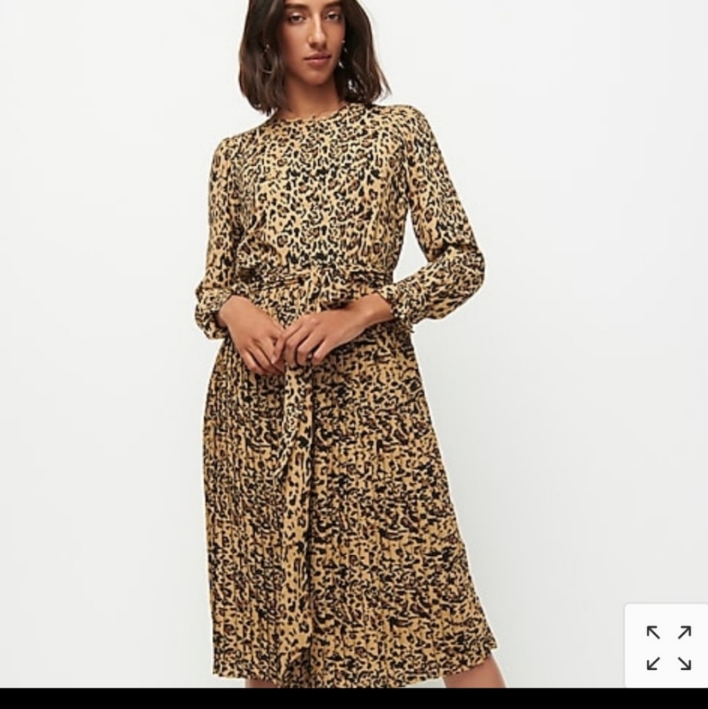J. Crew leopard dress